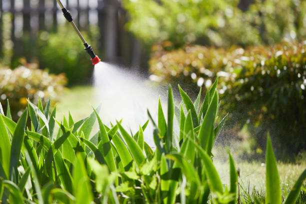 24/7 Emergency Mosquito Control experts in Wymore, NE